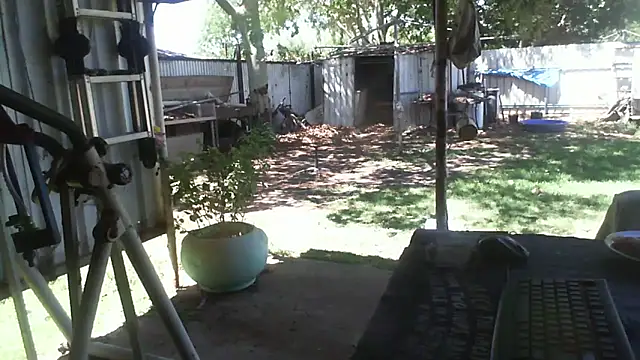 Snapshot of herbie010666 chatting on December 2, 3:56 am herbie010666 online show from December 2, 3:56 am