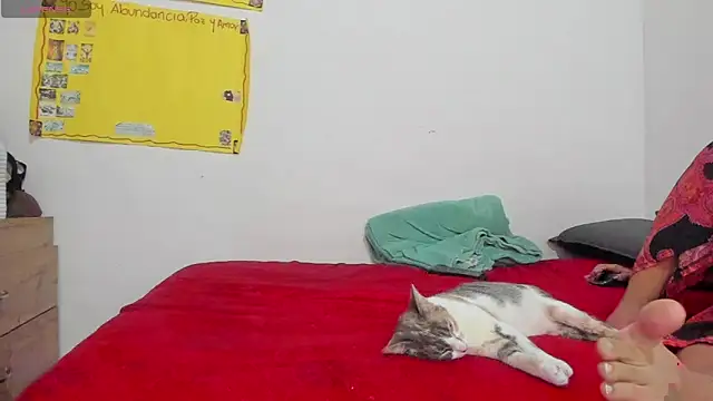 Snapshot of Hela_wet chatting on November 24, 5:34 pm Hela wet online show from November 24, 5:34 pm