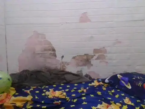 simplewild mom online show from April 21, 2:04 am