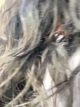 bea3liz online show from December 18, 5:52 pm