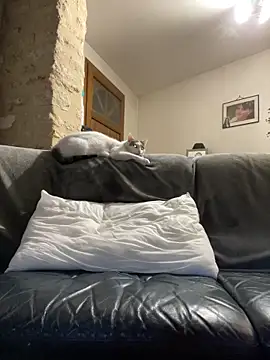 steph19x5 online show from March 14, 6:19 am