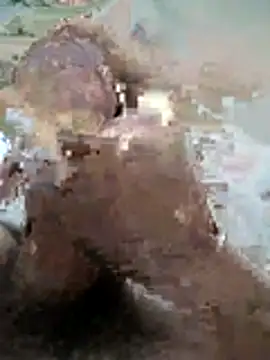 Snapshot of naghmi12 chatting on November 11, 6:08 pm naghmi12 online show from November 11, 6:08 pm