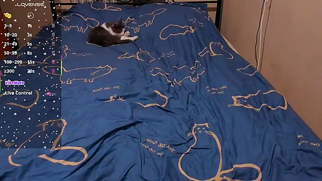 eva zero online show from February 27, 2:28 pm