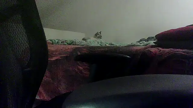 OralDesires2 online show from February 19, 11:46 pm