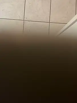 Snapshot of dingoding chatting on January 10, 3:39 am dingoding online show from January 10, 3:39 am