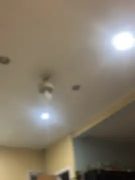 Snapshot of dingoding chatting on February 7, 10:40 am dingoding online show from February 7, 10:40 am