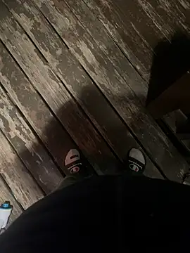 Snapshot of dingoding chatting on March 5, 2:14 am dingoding online show from March 5, 2:14 am