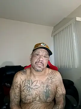 yellowwetfox online show from February 3, 2:22 pm