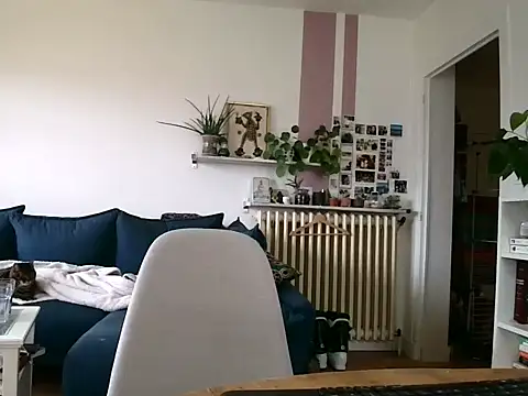 Simon-tem online show from February 5, 1:38 pm