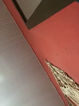 pimenta gaby online show from November 4, 11:09 am