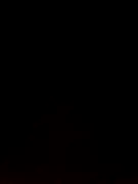 Like african online show from February 9, 4:33 pm