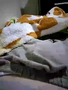 Snapshot of shiiank chatting on May 27, 3:14 am shiiank online show from May 27, 3:14 am