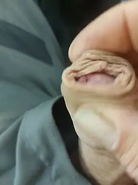 Snapshot of StarredAndrej chatting on November 7, 2:28 pm StarredAndrej online show from November 7, 2:28 pm