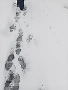 Saysomething3 online show from January 11, 7:57 am