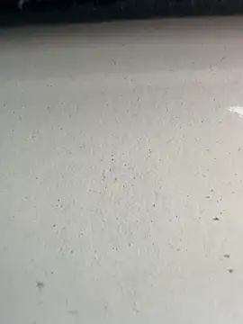 S2kicibey06 online show from February 7, 7:29 am