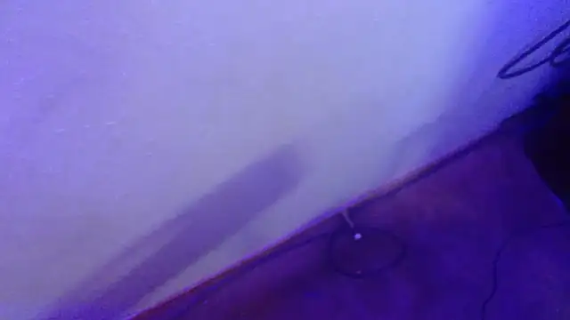 Snapshot of LumberJockMan chatting on January 22, 5:05 am LumberJockMan online show from January 22, 5:05 am