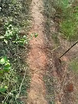 Snapshot of Gopal1243 chatting on December 14, 2:01 am Gopal1243 online show from December 14, 2:01 am