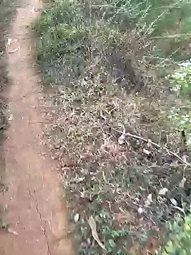 Snapshot of Gopal1243 chatting on January 15, 2:27 am Gopal1243 online show from January 15, 2:27 am