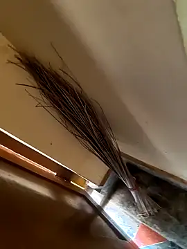 Snapshot of Gopal1243 chatting on January 21, 3:37 am Gopal1243 online show from January 21, 3:37 am