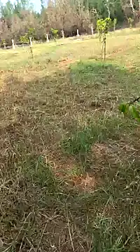 Snapshot of Gopal1243 chatting on February 11, 4:01 am Gopal1243 online show from February 11, 4:01 am