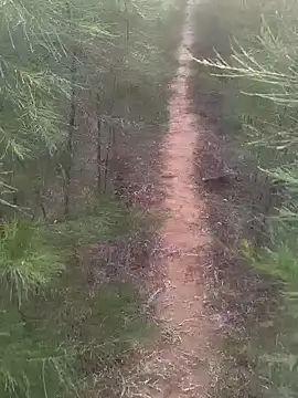 Snapshot of Gopal1243 chatting on February 17, 1:47 am Gopal1243 online show from February 17, 1:47 am