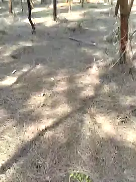 Snapshot of Gopal1243 chatting on February 20, 5:33 am Gopal1243 online show from February 20, 5:33 am