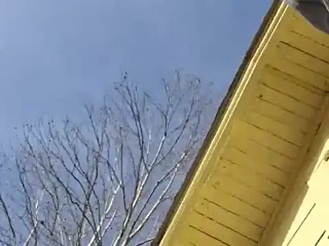 highstepper500 online show from December 25, 8:07 pm