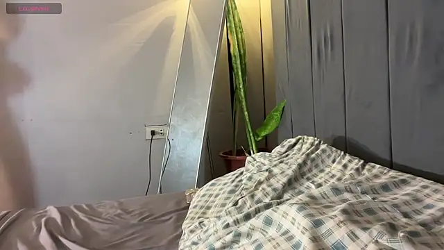 wiggle nibble online show from January 17, 7:28 pm