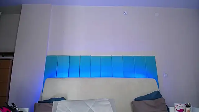 Snapshot of LindyVSAndy chatting on January 30, 9:47 am LindyVSAndy online show from January 30, 9:47 am