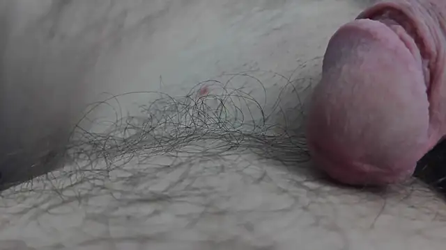 Fist-my-ass online show from November 24, 8:03 am