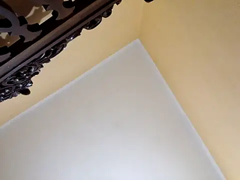 Snapshot of White_rabbit_ chatting on October 29, 10:00 pm White rabbit  online show from October 29, 10:00 pm