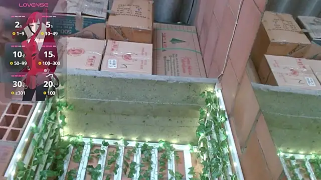 belindathompson online show from February 25, 9:24 pm