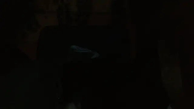 belindathompson online show from November 7, 10:54 pm