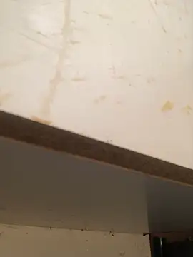 foxiks online show from April 9, 11:37 am