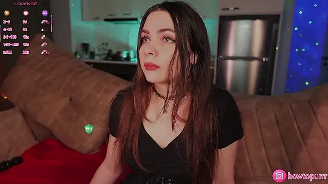 How2Meow online show from February 8, 5:38 pm