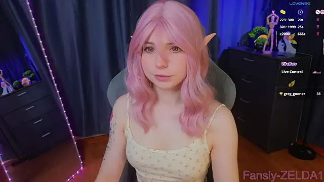 zelda 1 online show from July 4, 2:29 am