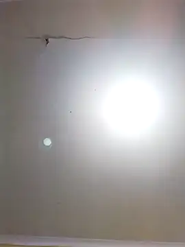 Snapshot of DangerousSafari chatting on November 3, 2:29 pm DangerousSafari online show from November 3, 2:29 pm