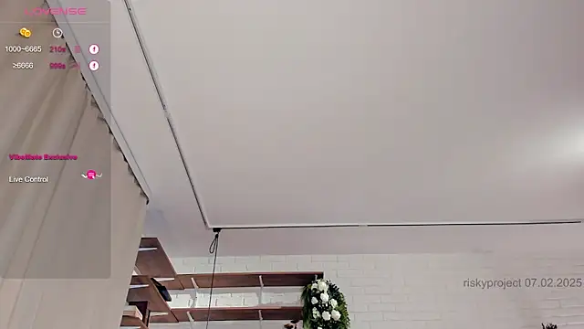 Snapshot of Riskyproject chatting on February 7, 7:40 am Riskyproject online show from February 7, 7:40 am