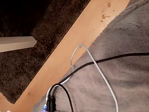 Snapshot of Ebinator666 chatting on February 18, 6:59 am Ebinator666 online show from February 18, 6:59 am