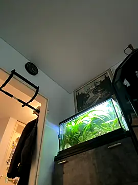 Toyjungee online show from September 23, 3:37 pm