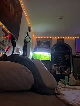 Toyjungee online show from February 3, 8:08 am