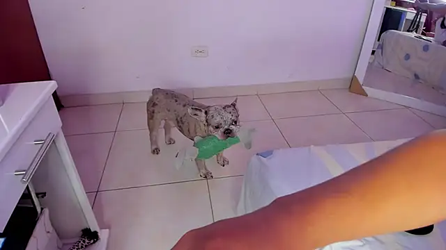 Snapshot of SophiieWilson_ chatting on October 27, 3:43 am SophiieWilson online show from October 27, 3:43 am