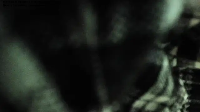 shamelesss di online show from March 11, 5:52 pm