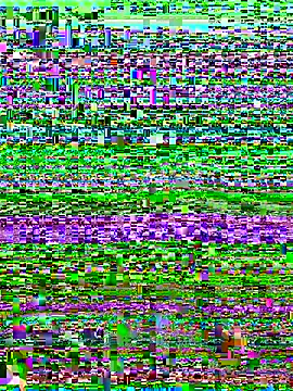 versetopcouple online show from October 29, 4:09 pm