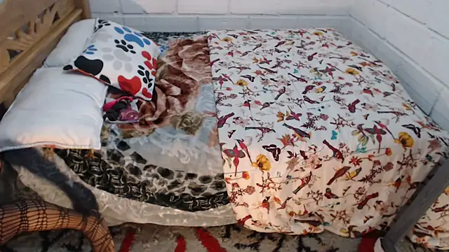 sexyjustin202 online show from December 15, 10:58 pm