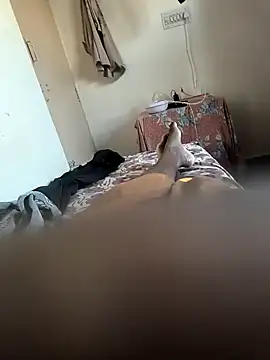 Mallupaiyanaachu online show from February 5, 2:08 am