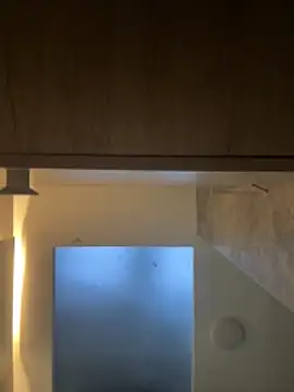 CeliWoods online show from November 30, 10:52 am