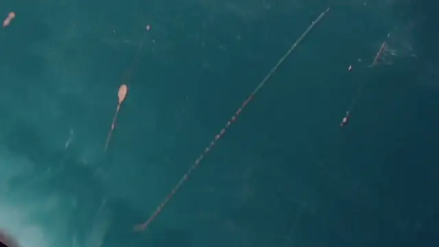 Snapshot of CharlotteBigCock chatting on January 12, 3:25 pm CharlotteBigCock online show from January 12, 3:25 pm