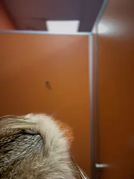 Snapshot of pinkstar_ chatting on February 24, 9:10 am pinkstar online show from February 24, 9:10 am