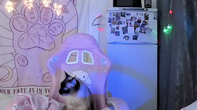 Snapshot of Holy420lolii chatting on January 18, 6:23 pm Holy420lolii online show from January 18, 6:23 pm